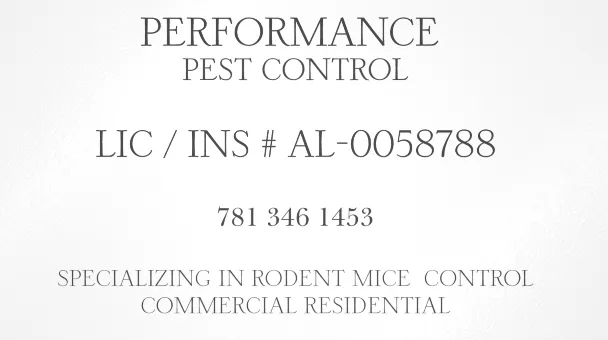 Custom yard maintenance experts serving Wakefield, MA - Bill Veno Landscaping & Lawn Maintenance