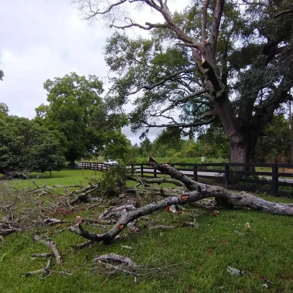 Trusted residential landscaping in Joppa, AL - Billings Handyman Service