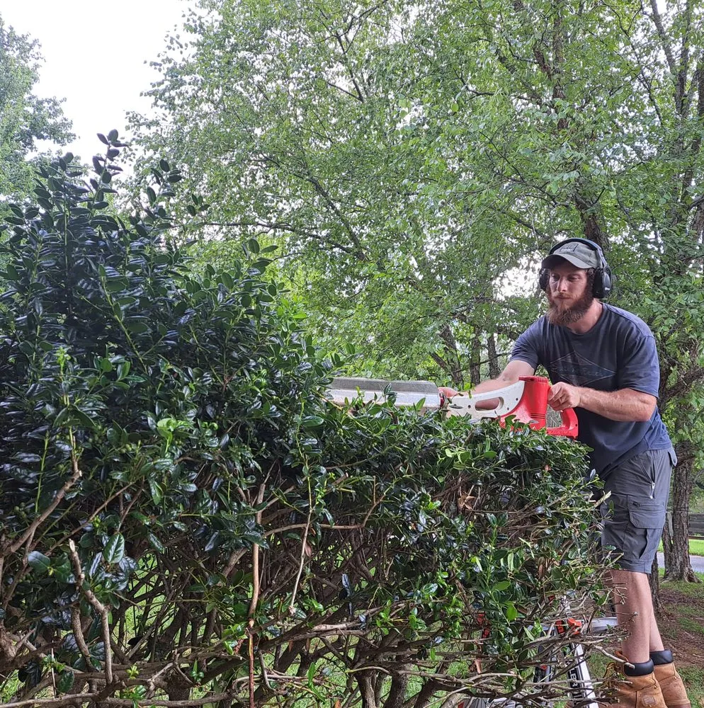 Reliable yard cleanup service for beautiful yards across McDonough, GA - Billings Handyman Services