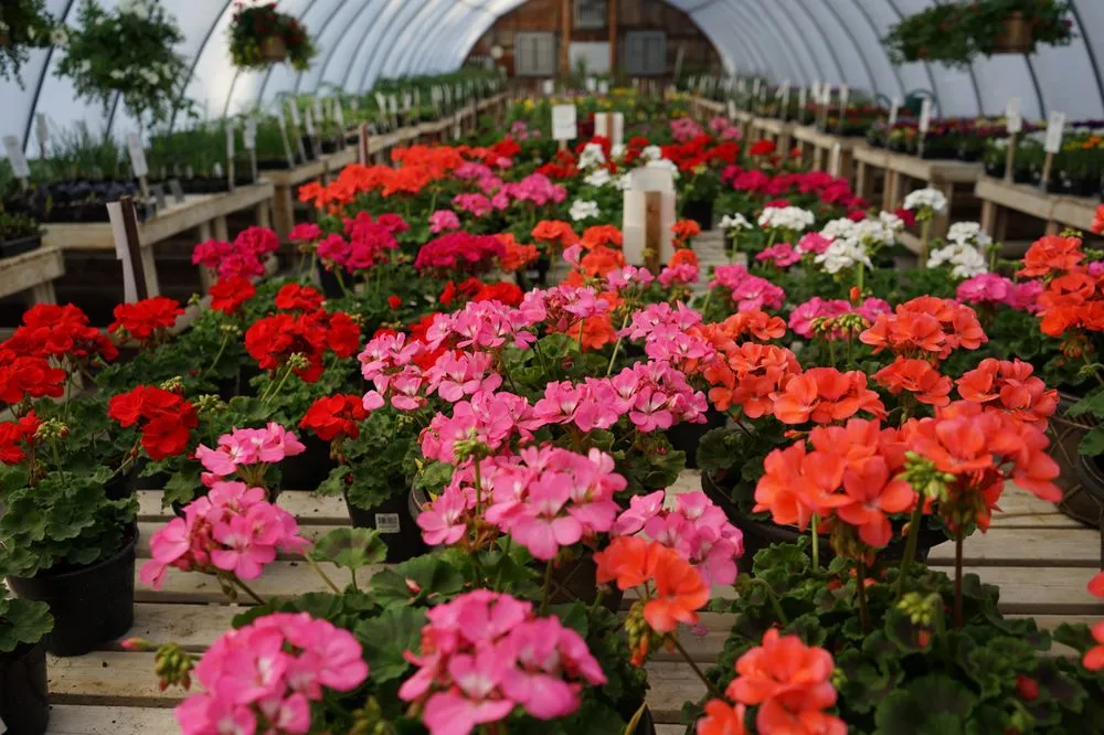 Expert outdoor landscaping in Billings, MT - Billings Nursery & Landscaping