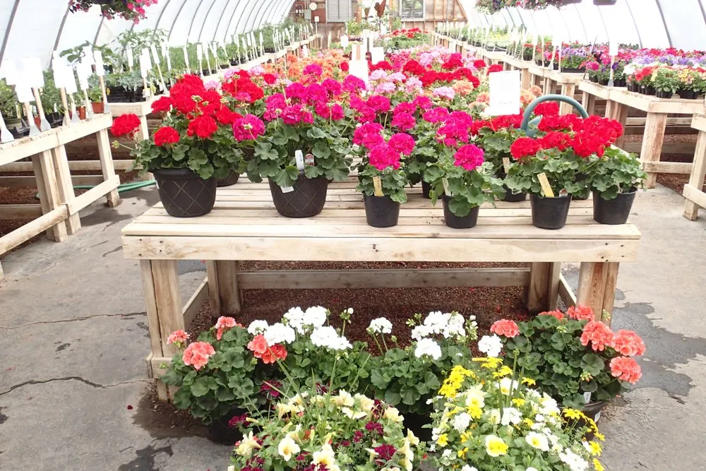 Custom yard cleanup service for beautiful yards in Billings, MT by Billings Nursery & Landscaping