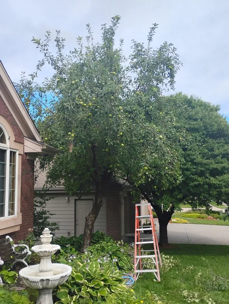 Top-rated outdoor landscaping for year-round maintenance in Council Bluffs, IA by Billings Property Maintenance