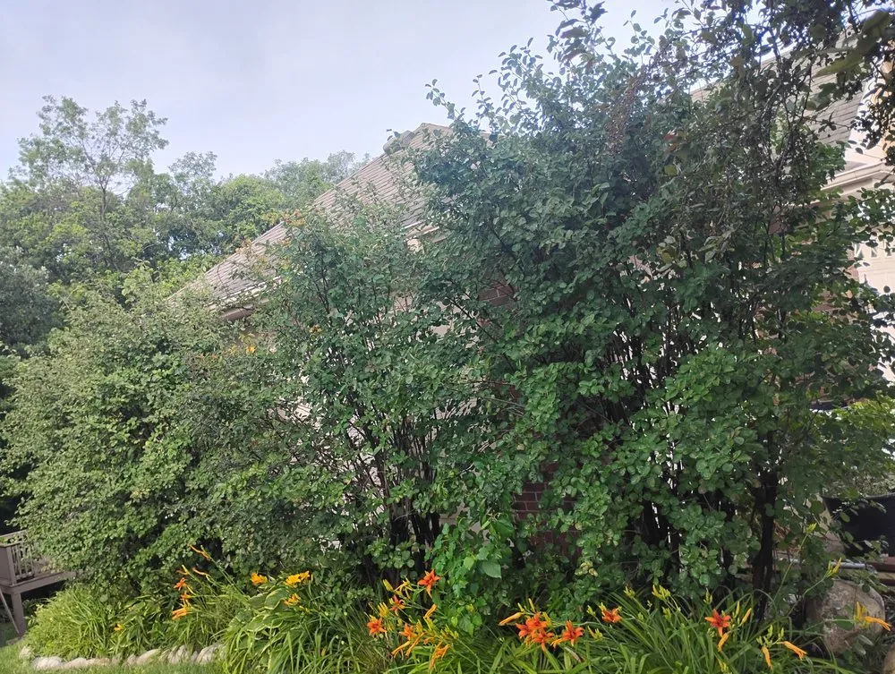 Reliable lawn care service in Council Bluffs, IA by Billings Property Maintenance