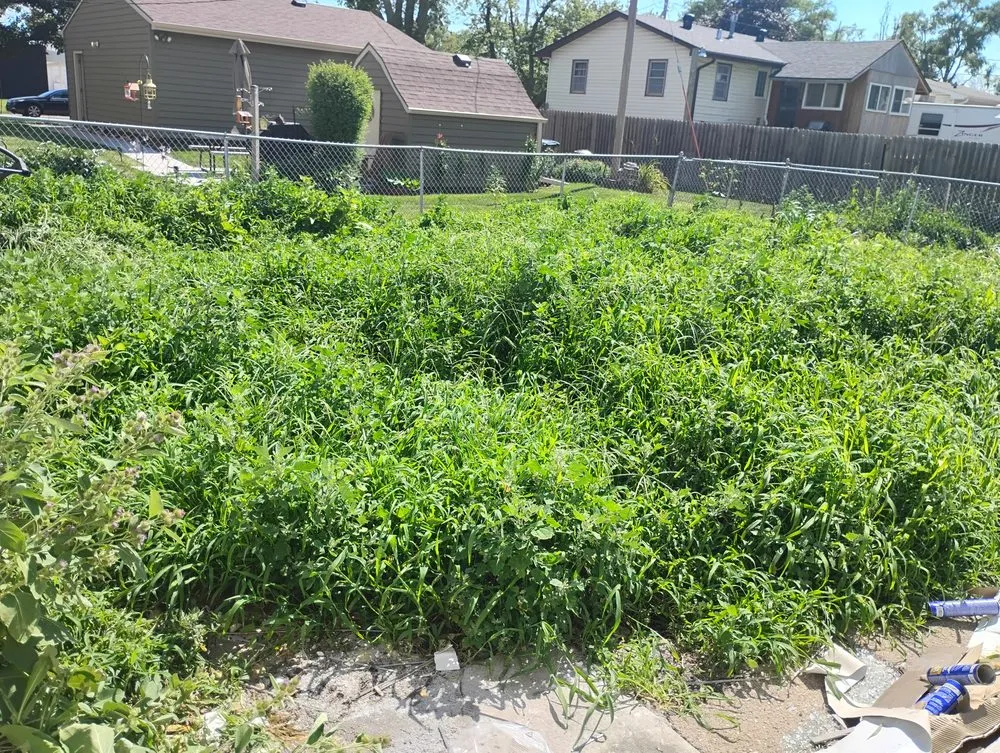 Custom yard cleanup service in Council Bluffs, IA - Billings Property Maintenance