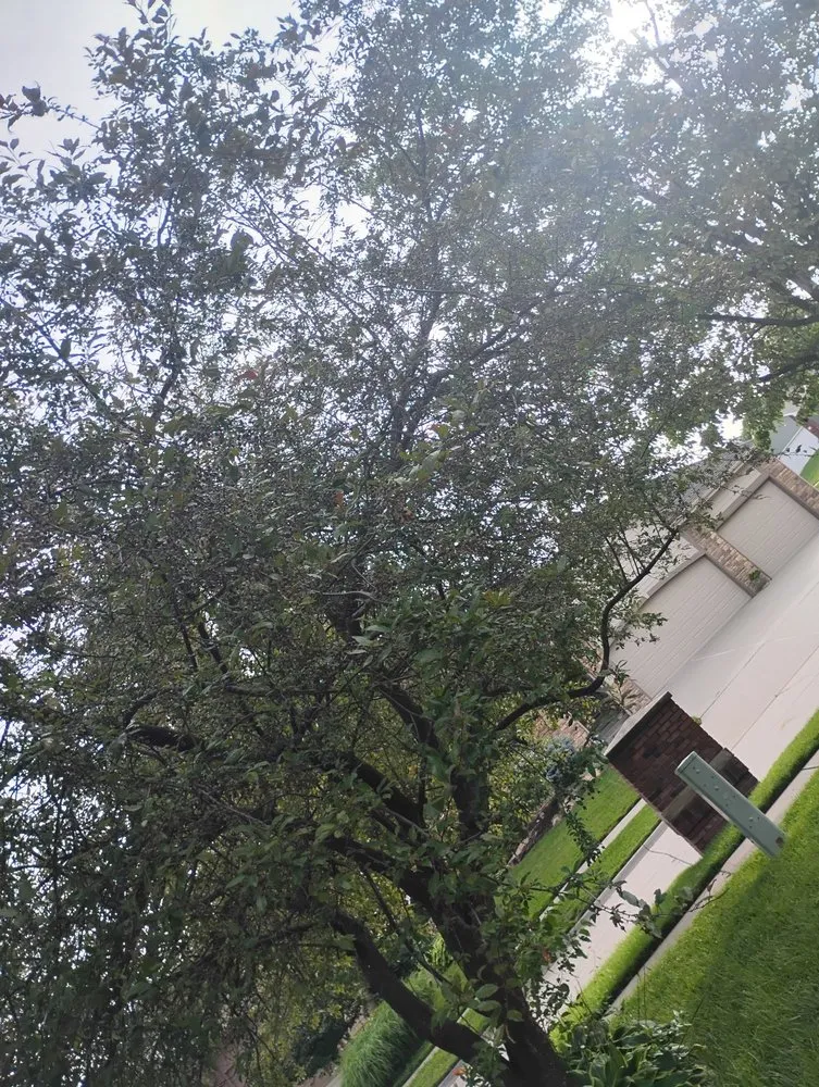 Affordable lawn mowing service for beautiful yards across Council Bluffs, IA - Billings Property Maintenance