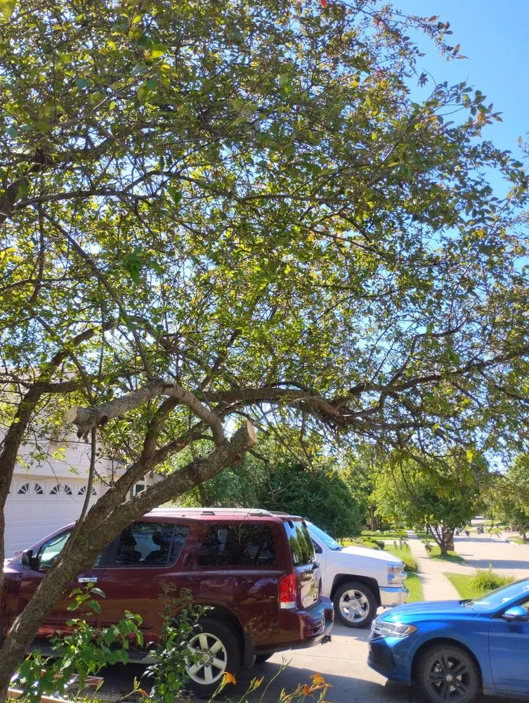 Reliable outdoor landscaping in Council Bluffs, IA - Billings Property Maintenance