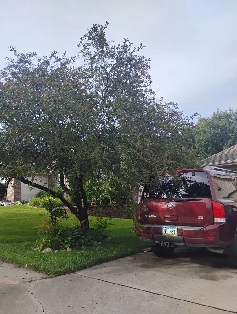 Expert lawn care service in Council Bluffs, IA by Billings Property Maintenance