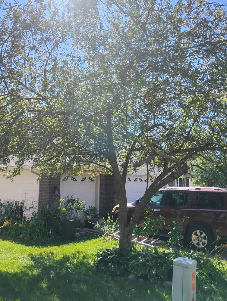 Top-rated landscape installation near you across Council Bluffs, IA - Billings Property Maintenance