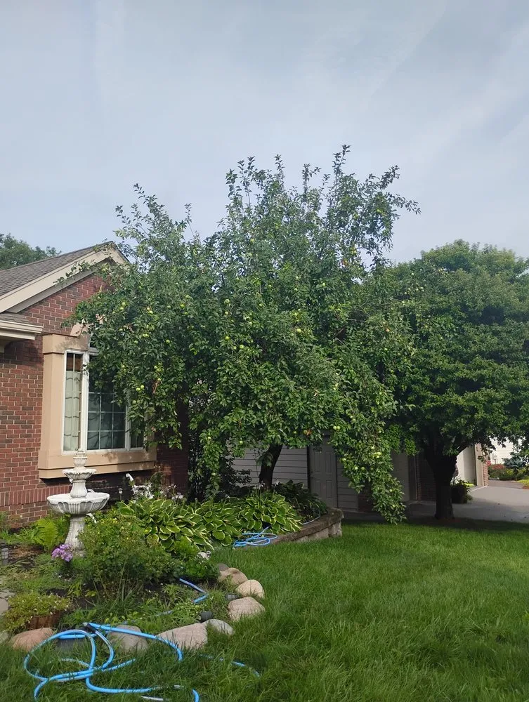 Affordable landscape design for homes in Council Bluffs, IA by Billings Property Maintenance