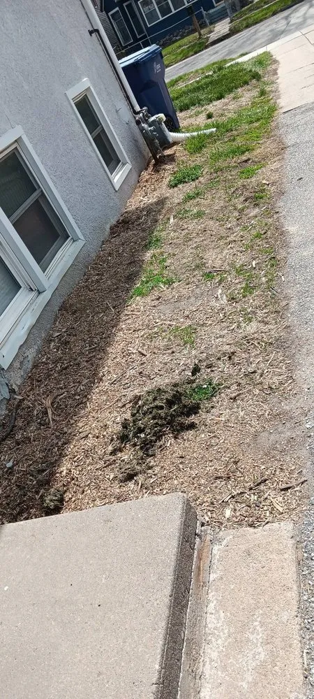 Local residential landscaping experts serving Council Bluffs, IA - Billings Property Maintenance