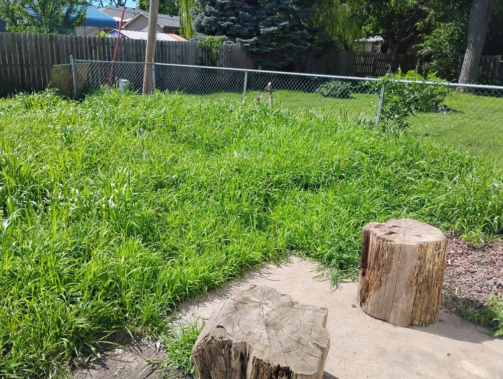 Affordable lawn care service for year-round maintenance across Council Bluffs, IA - Billings Property Maintenance