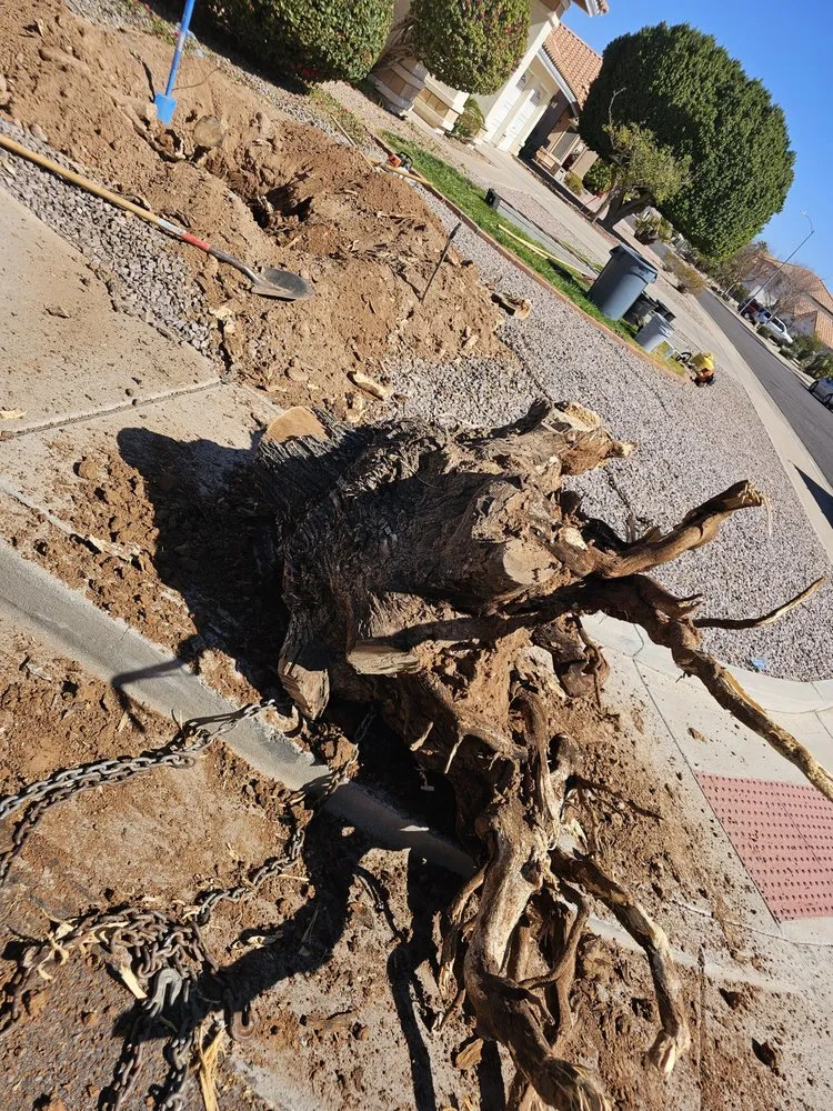 Expert garden landscaping in Phoenix, AZ - Billionaire Landscape Hardscape