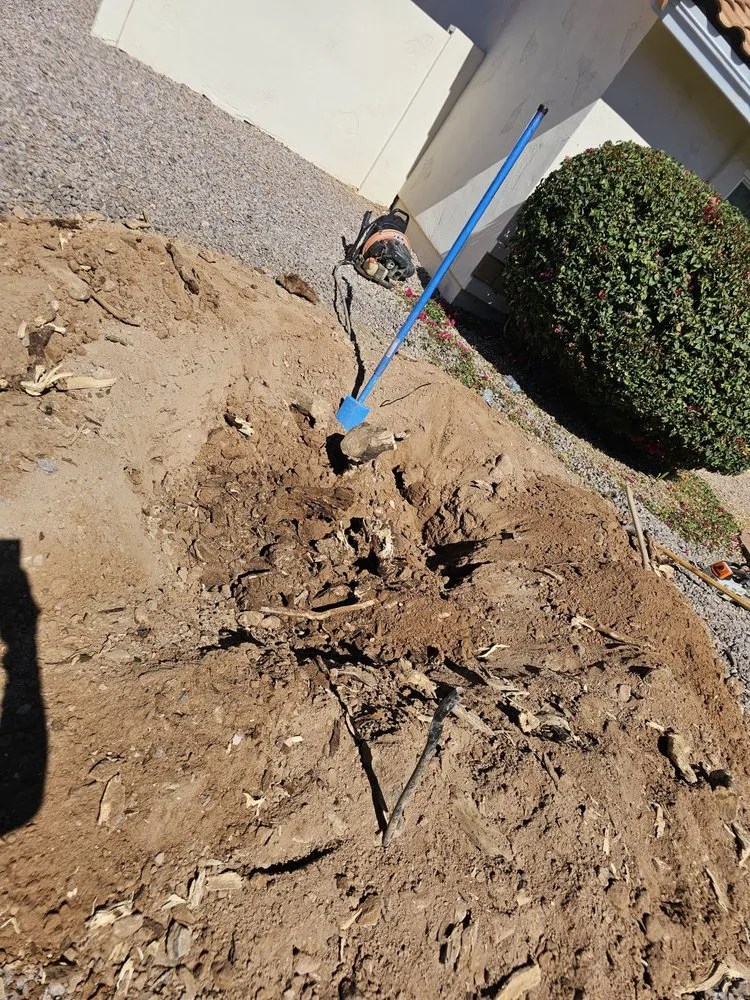 Local landscape design in Phoenix, AZ by Billionaire Landscape Hardscape