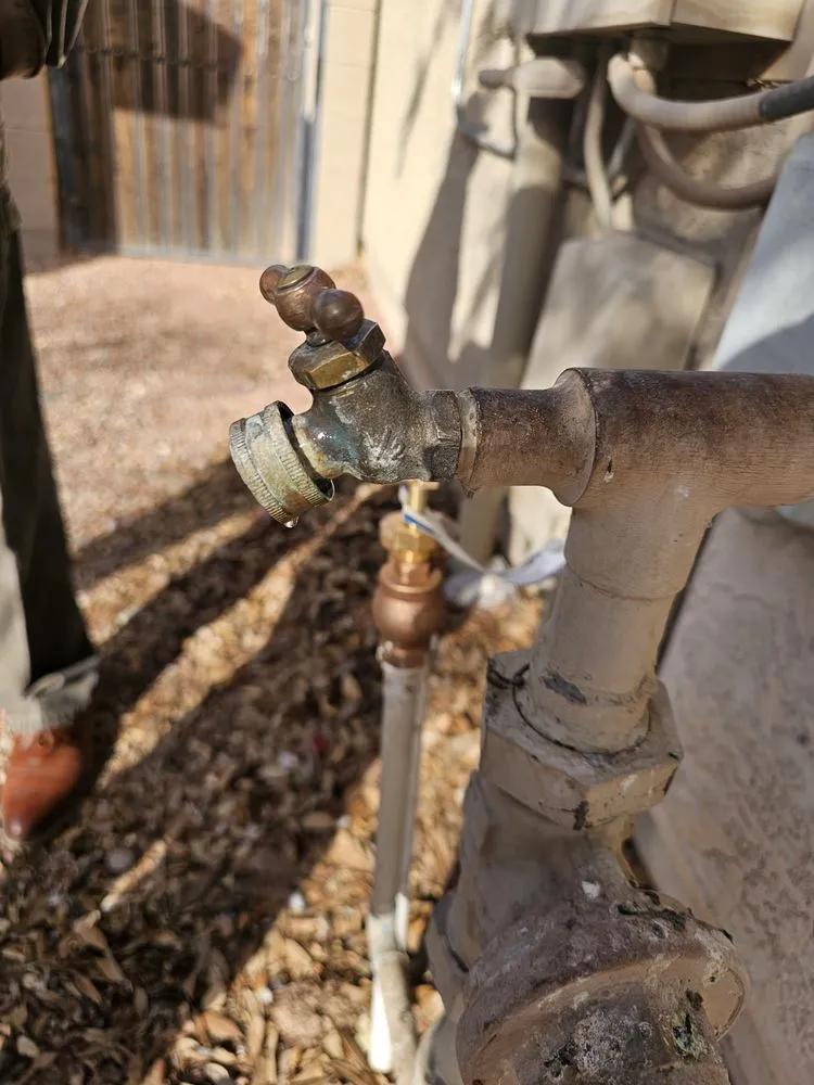 Expert yard cleanup service for year-round maintenance in Phoenix, AZ by Billionaire Landscape Hardscape