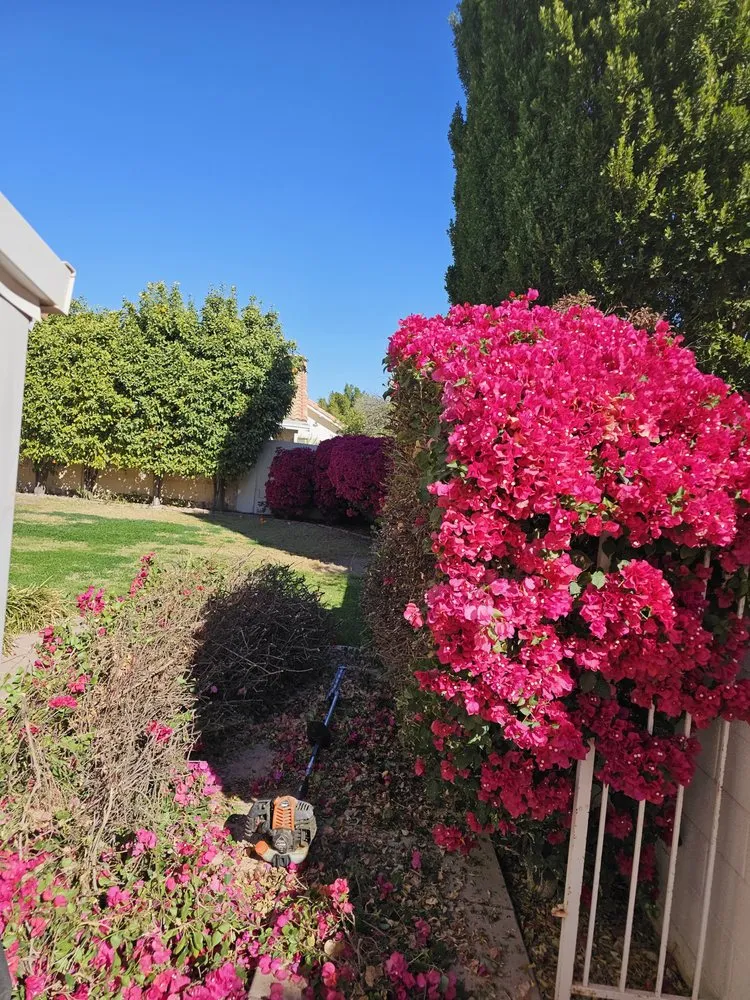 Top-rated landscape design in Phoenix, AZ by Billionaire Landscape Hardscape