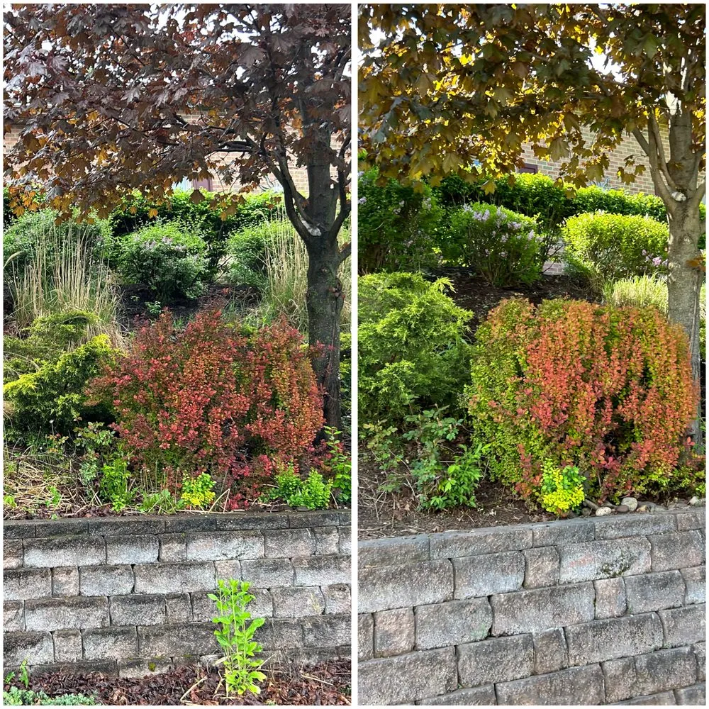 Custom lawn mowing service in Gallitzin, PA - Billotte Contracting