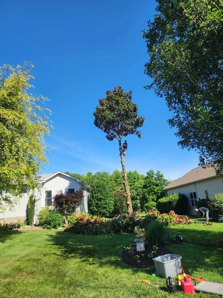 Affordable garden landscaping for beautiful yards across Vonore, TN - Bill's Bobcat Service