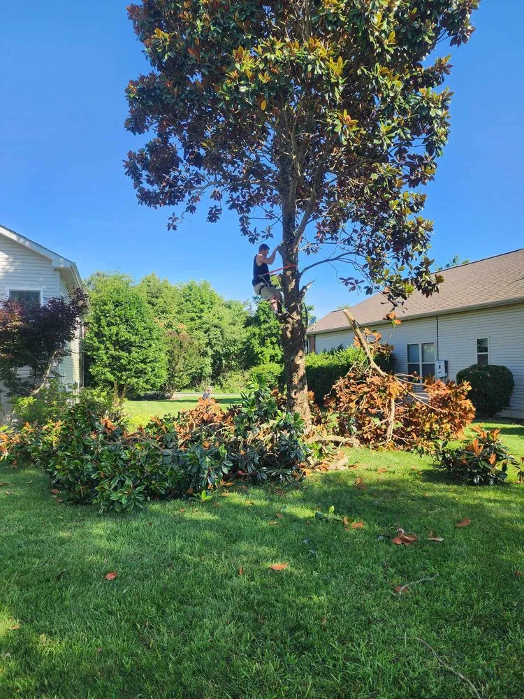 Trusted outdoor landscaping experts serving Vonore, TN - Bill's Bobcat Service