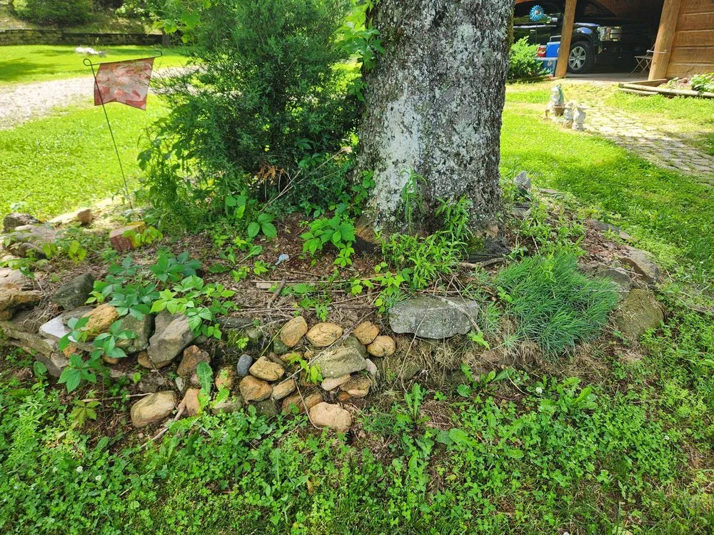 Professional landscape installation experts serving Vonore, TN - Bill's Bobcat Service