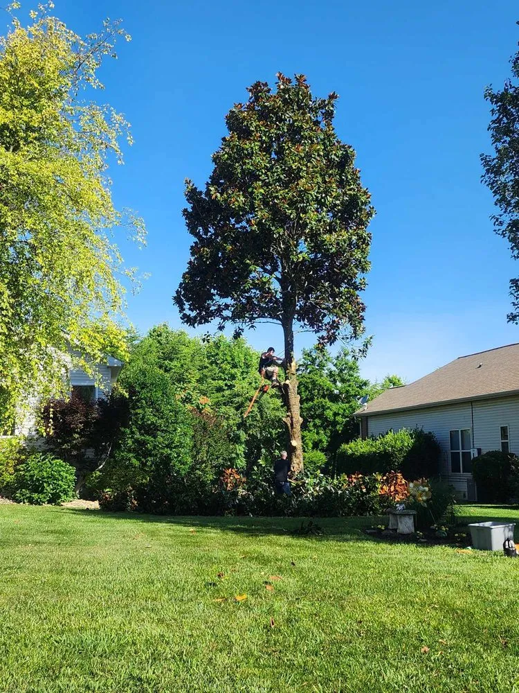 Reliable yard maintenance in Vonore, TN - Bill's Bobcat Service