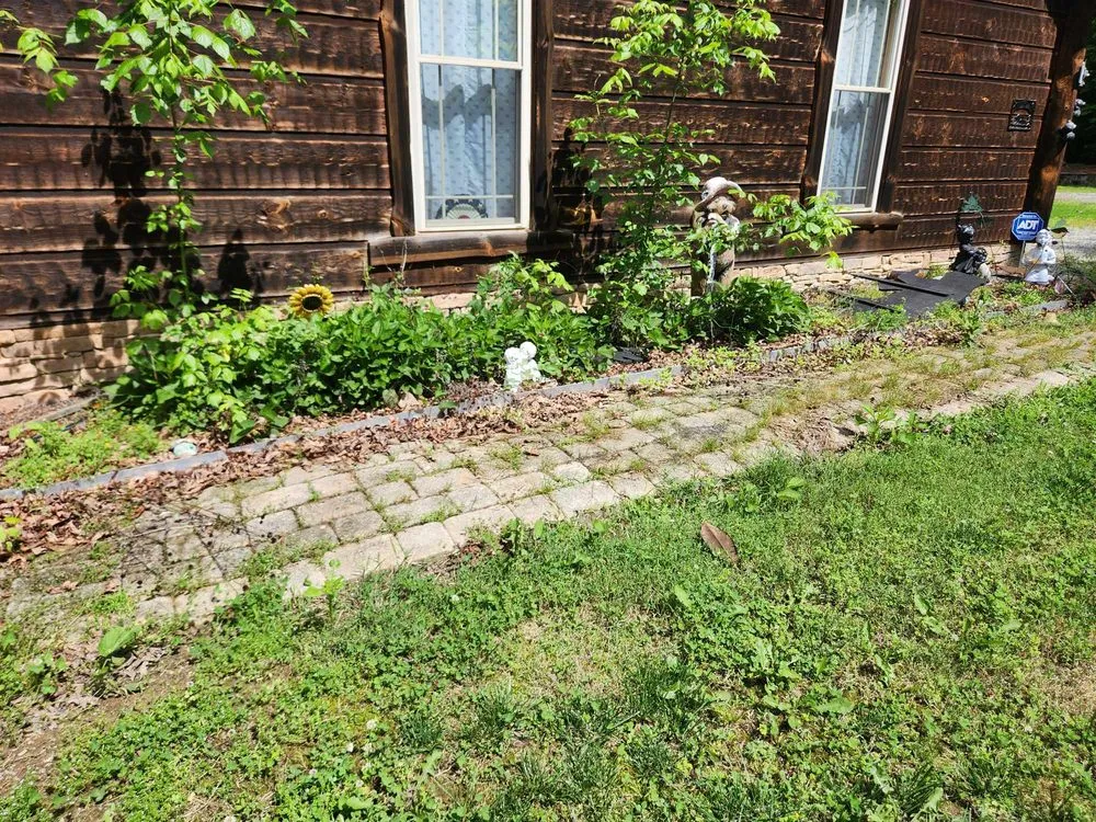 Custom landscape installation for year-round maintenance across Vonore, TN - Bill's Bobcat Service