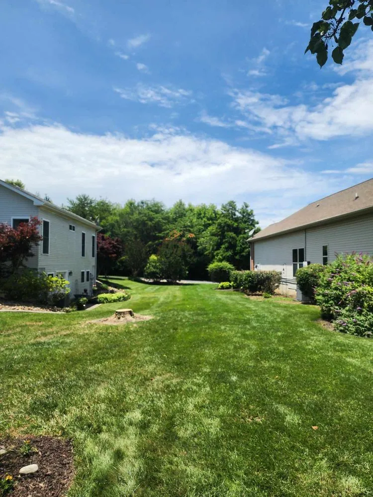 Custom landscape design for beautiful yards in Vonore, TN by Bill's Bobcat Service