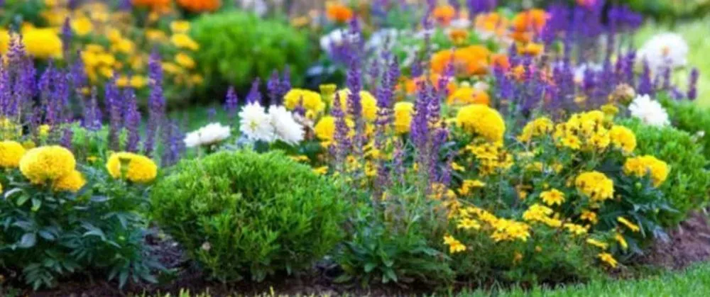 Trusted outdoor landscaping in Sykesville, MD by Bills Grading & Landscaping