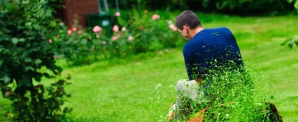 Reliable lawn care service for residential properties across Sykesville, MD - Bills Grading & Landscaping