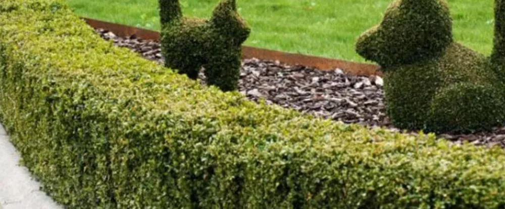 Affordable outdoor landscaping in Sykesville, MD by Bills Grading & Landscaping