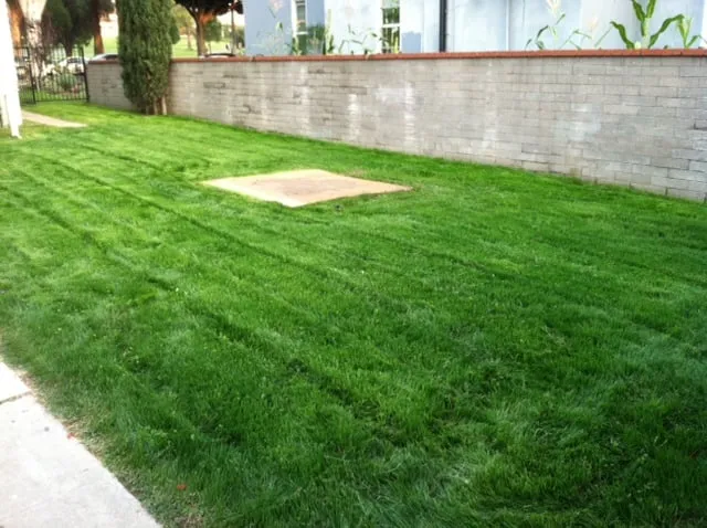 Local garden landscaping experts serving Corona, CA - Bill's Hydroseed