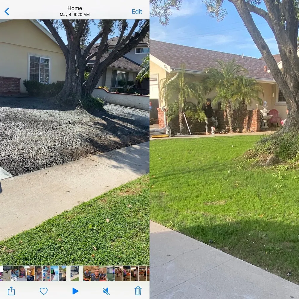 Reliable outdoor landscaping for homes across Corona, CA - Bill's Hydroseed