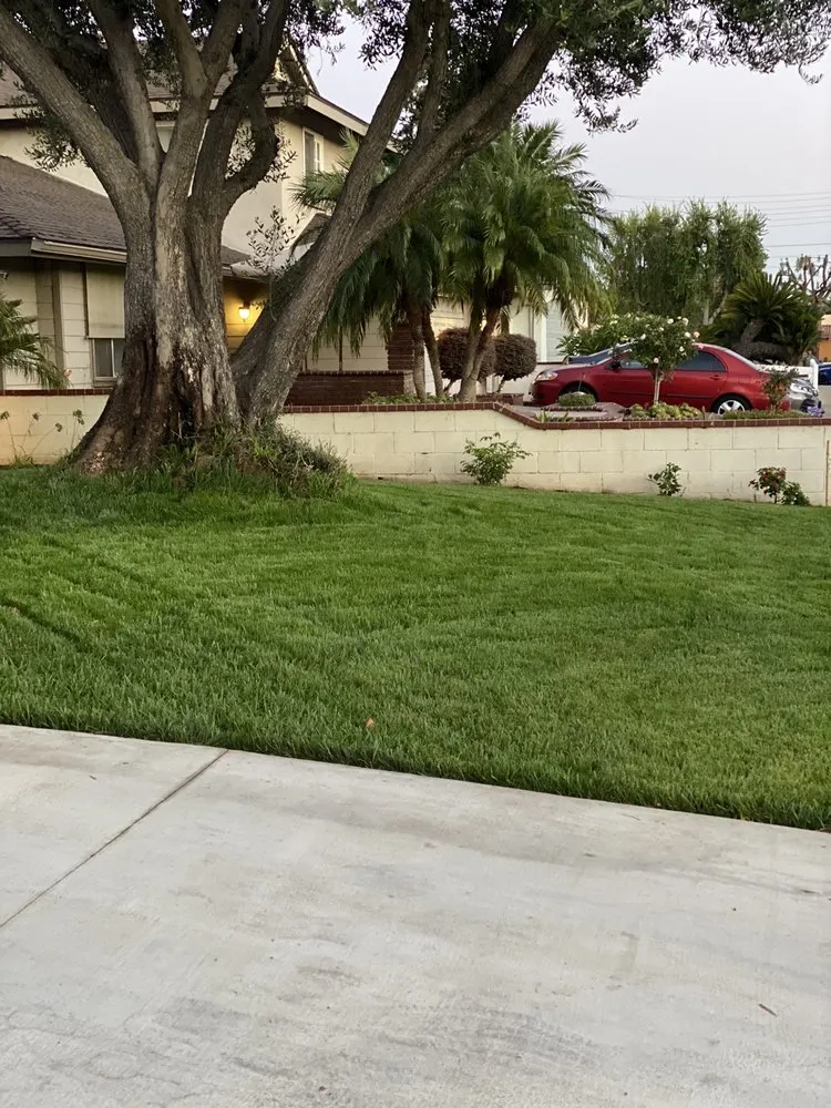 Reliable lawn mowing service for outdoor upgrades across Corona, CA - Bill's Hydroseed