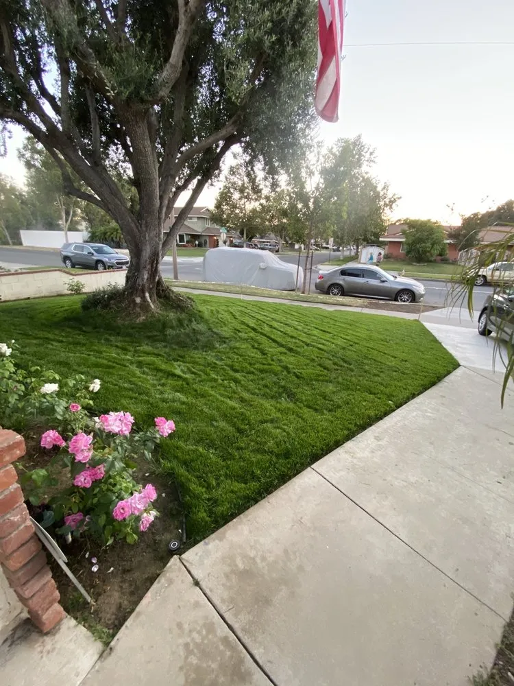 Affordable yard maintenance for year-round maintenance across Corona, CA - Bill's Hydroseed