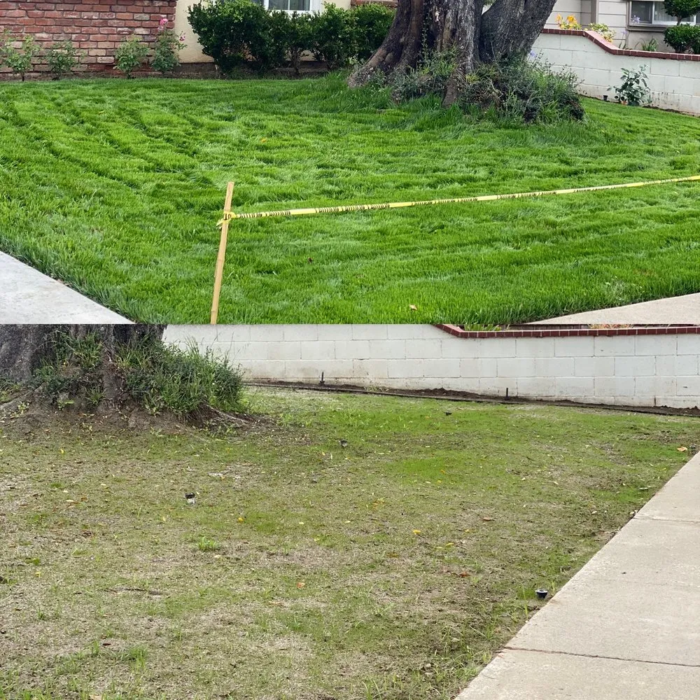 Trusted lawn care service in Corona, CA by Bill's Hydroseed