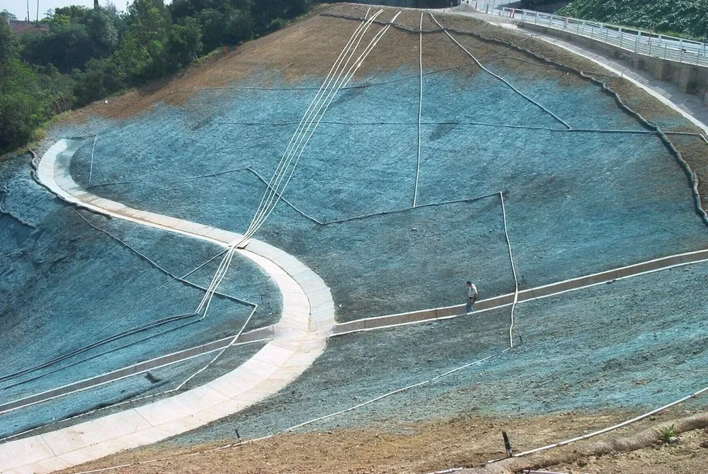 Local landscape installation for beautiful yards across Corona, CA - Bill's Hydroseed