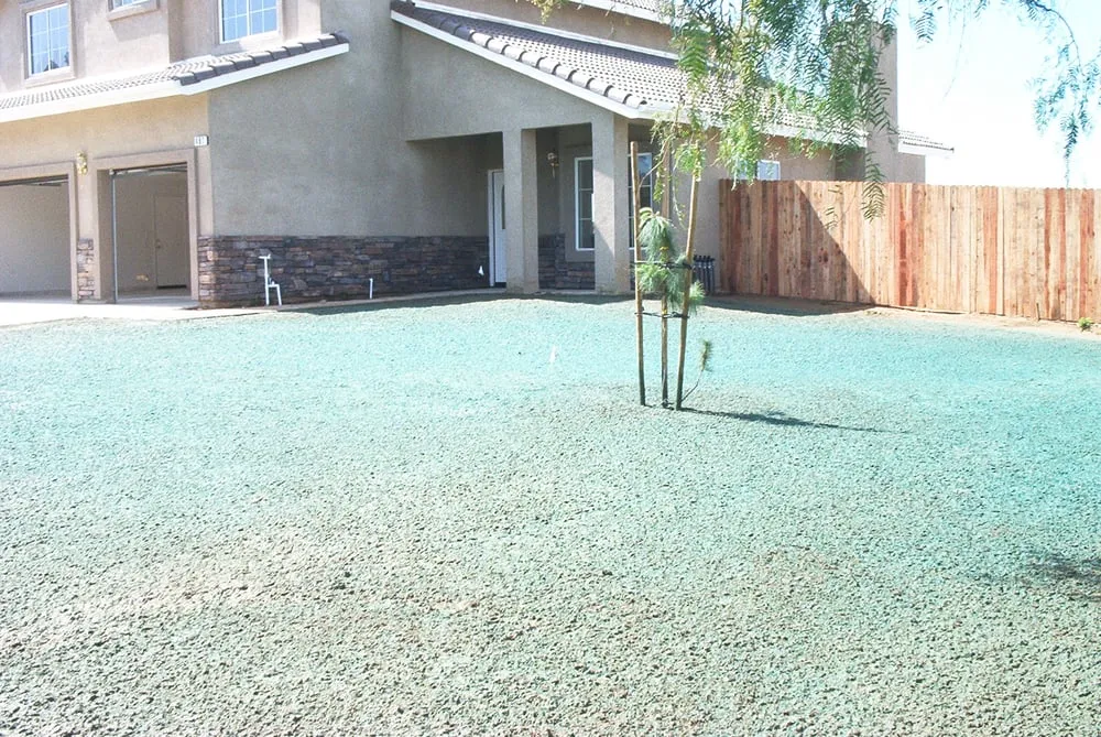 Expert landscape design for year-round maintenance across Corona, CA - Bill's Hydroseed