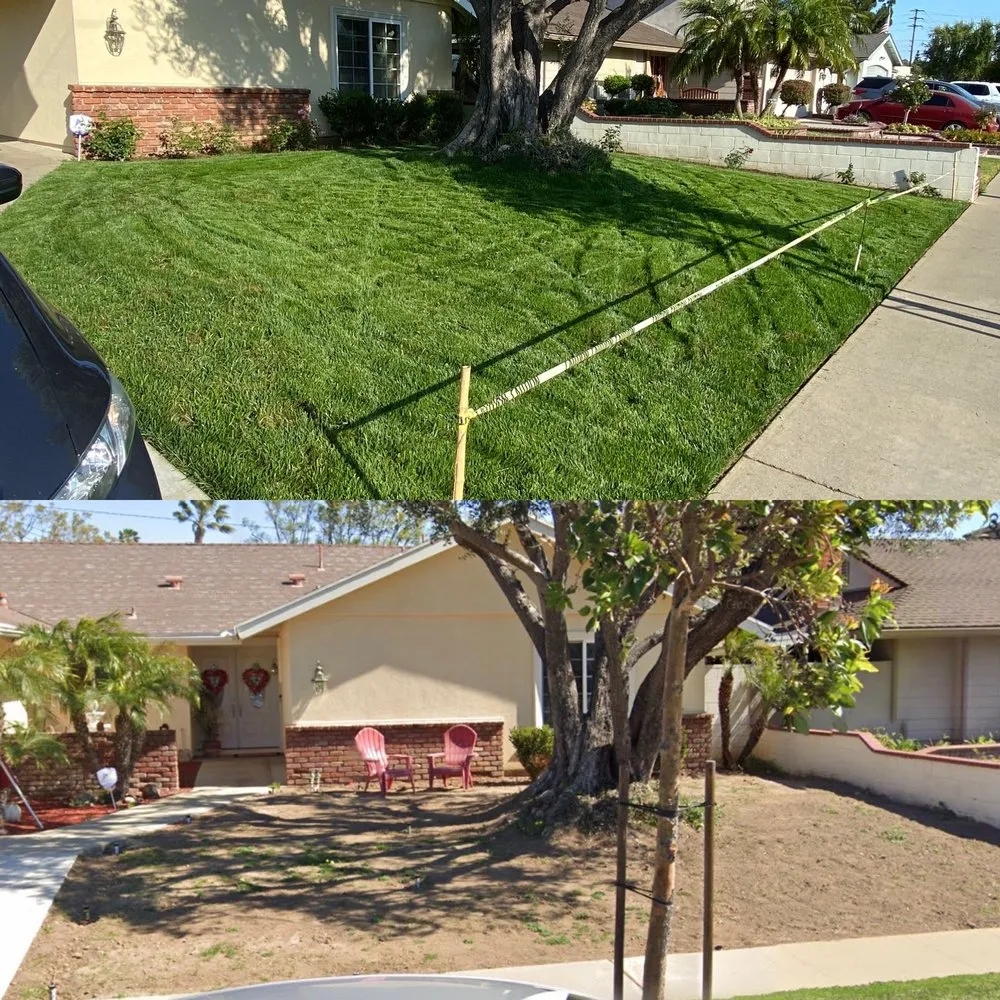 Trusted yard maintenance in Corona, CA by Bill's Hydroseed