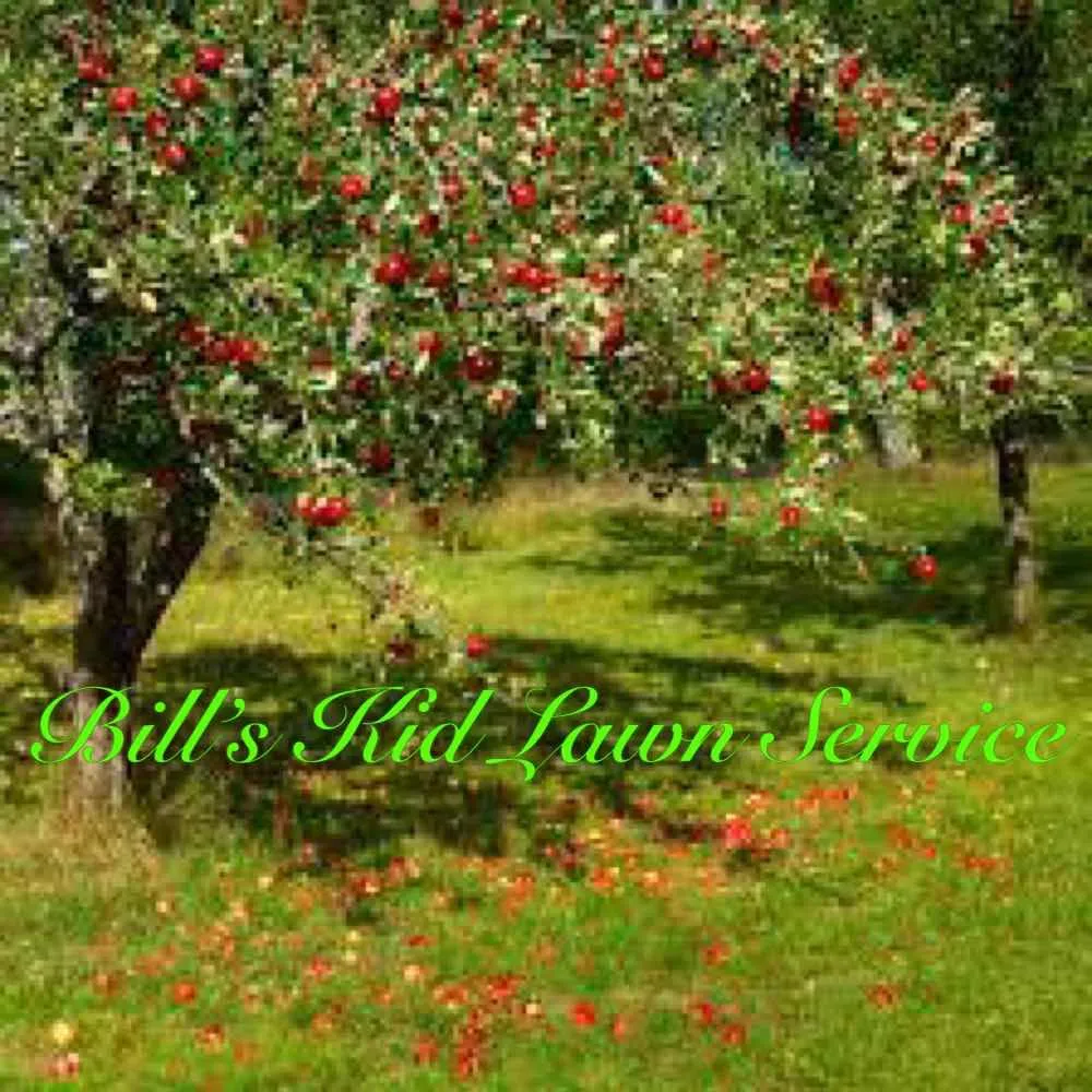 Trusted residential landscaping for residential properties in Pittsburgh, PA by Bill's Kid Lawn Service