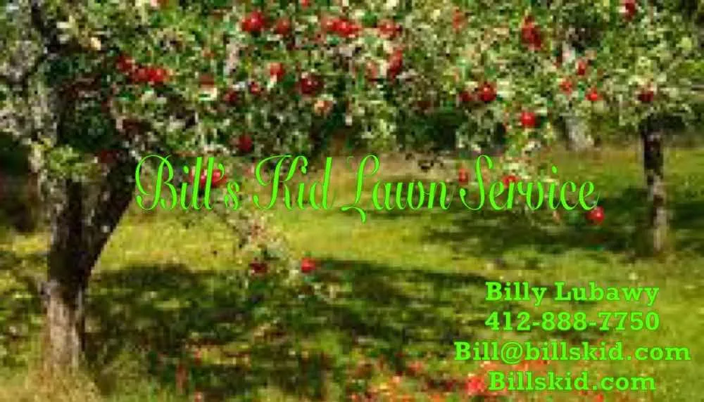 Top-rated landscape design for year-round maintenance in Pittsburgh, PA by Bill's Kid Lawn Service