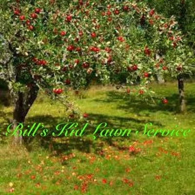 Bill's Kid Lawn Service