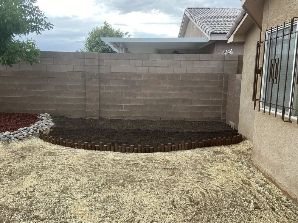 Affordable yard cleanup service for year-round maintenance in Albuquerque, NM by Bills Landscaping