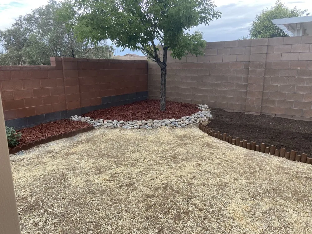 Expert yard cleanup service in Albuquerque, NM - Bills Landscaping