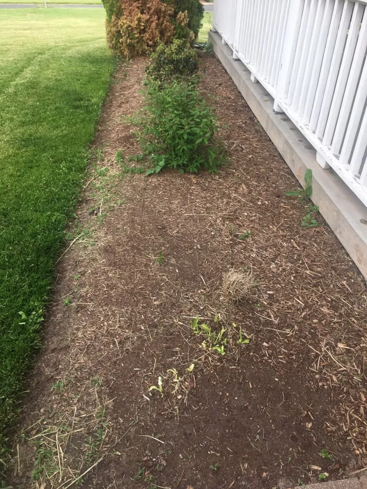 Top-rated landscape installation in Enfield, CT - Bill's Landscaping