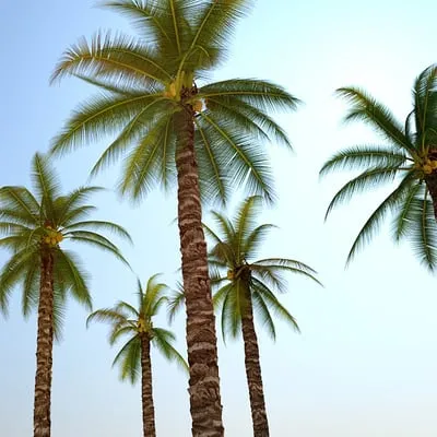 Bill's Landscaping Logo