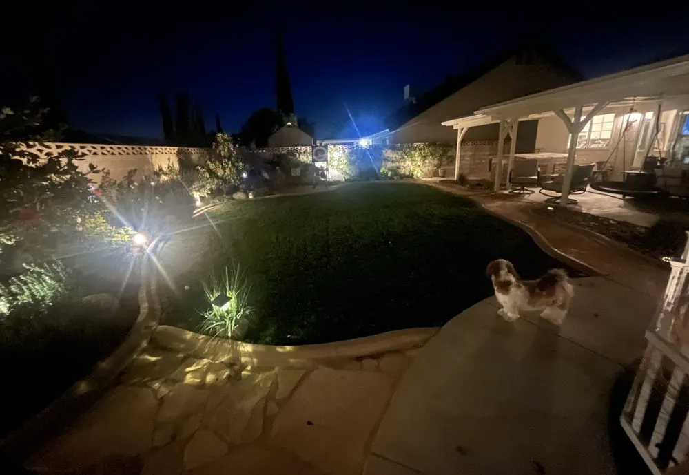 Reliable yard maintenance experts serving Lancaster, CA - Bill's Landscaping