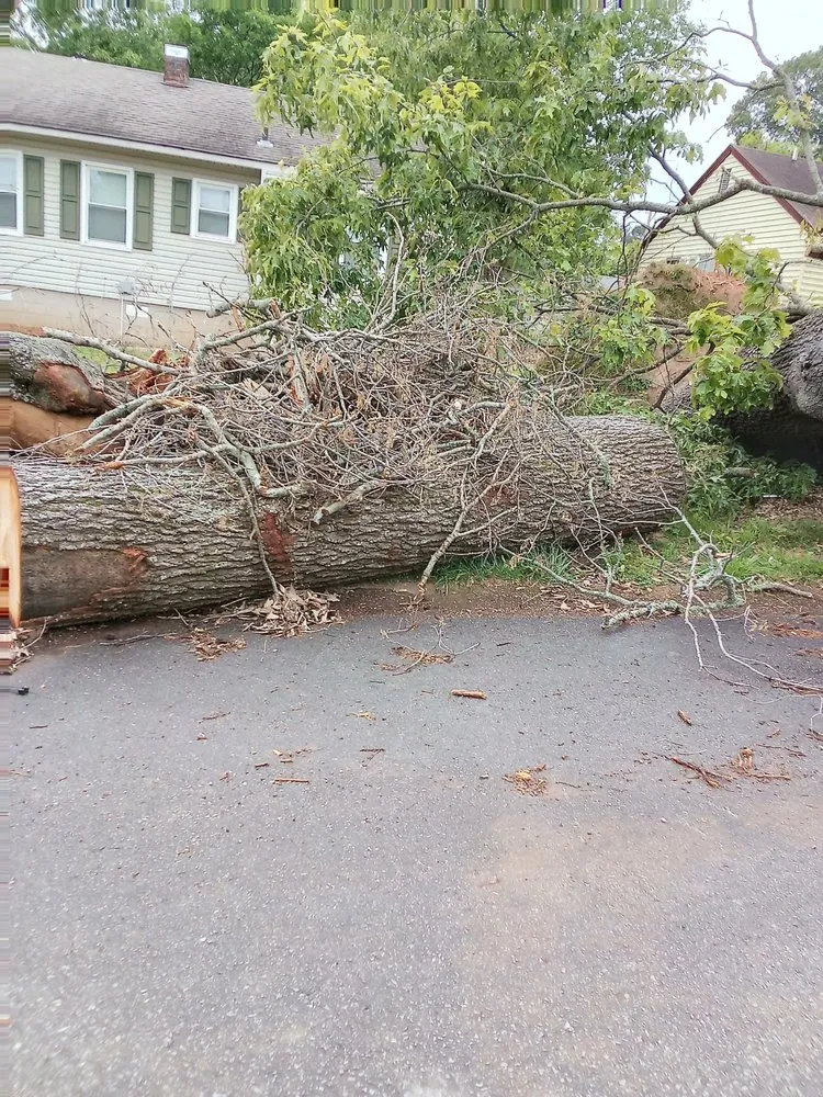 Trusted landscaping services for outdoor upgrades in Muscle Shoals, AL by Bill's Lawn Care & More