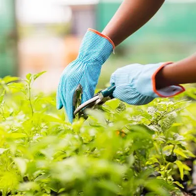 Affordable landscape design in Fort Wayne, IN - Bill's Lawn Care