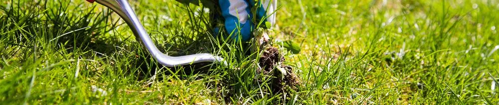 Affordable lawn care service for beautiful yards in Fort Wayne, IN by Bill's Lawn Care