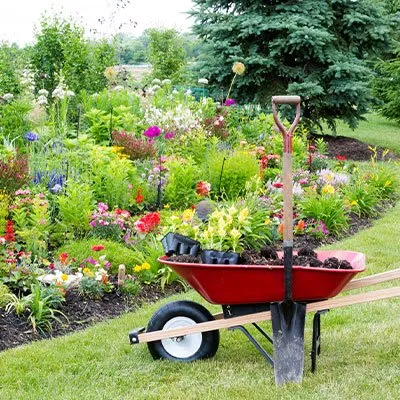 Top-rated yard maintenance in Fort Wayne, IN by Bill's Lawn Care