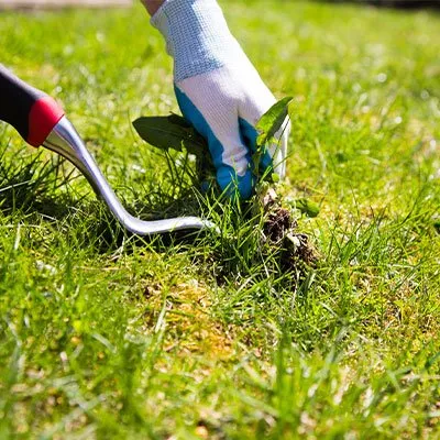 Top-rated garden landscaping in Fort Wayne, IN by Bill's Lawn Care